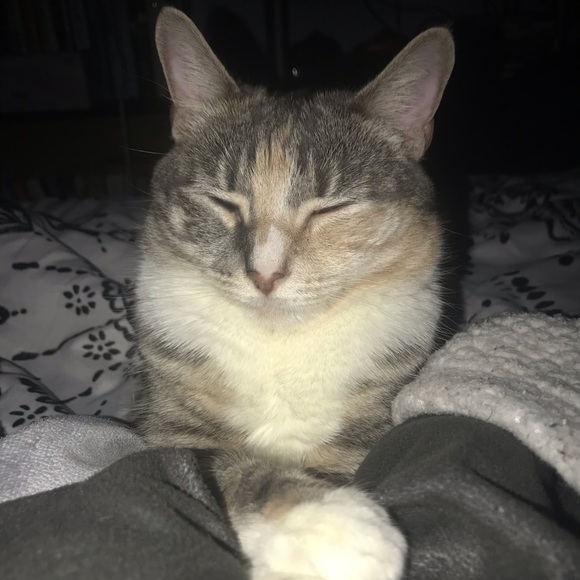 Meet your Posher, Layaly - Picture 1 of 1